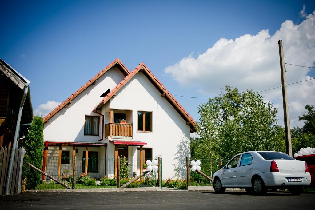 Conacul De Sub Munte Novaci-Străini Exterior foto