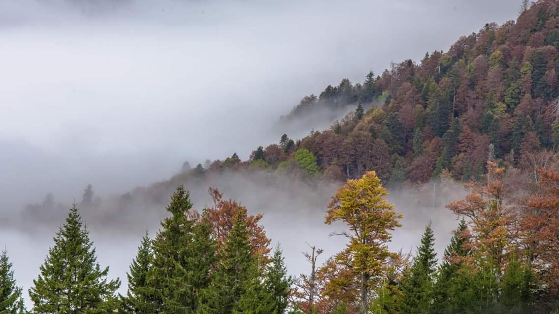 Conacul De Sub Munte Novaci-Străini Exterior foto