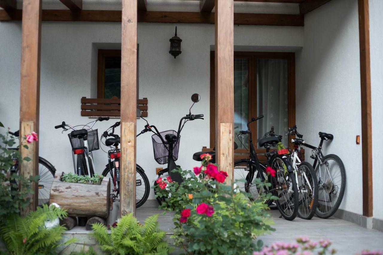 Conacul De Sub Munte Novaci-Străini Exterior foto